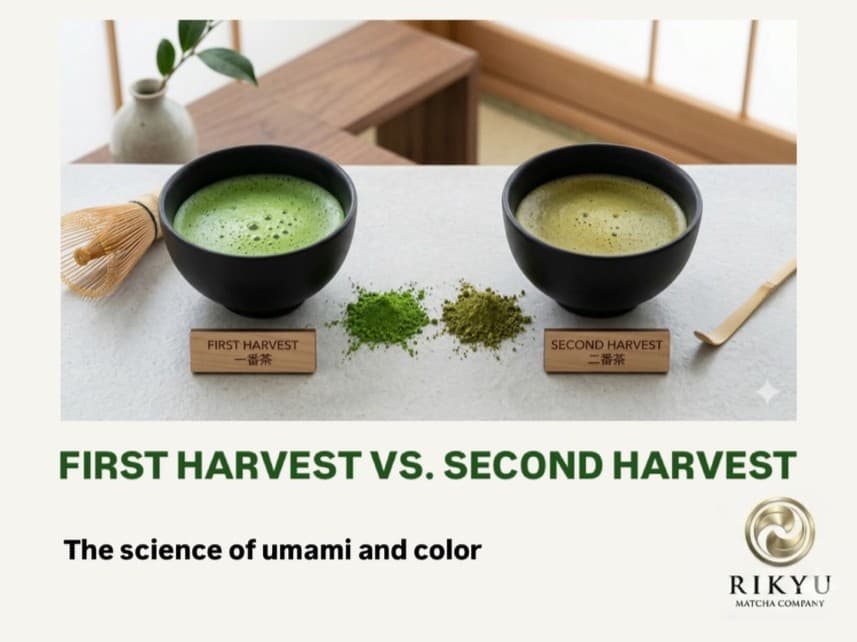 FIRST HARVEST VS. SECOND HARVEST